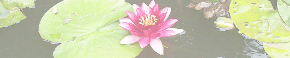 聚楽園公園（東海市しあわせ村）