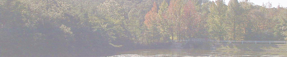 愛知青少年公園