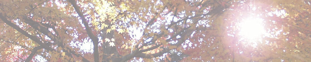 稲武遊歩道からの散策