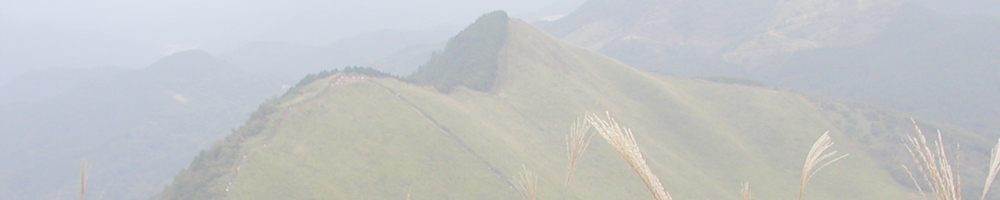 亀山～日本ボソ～倶留尊山