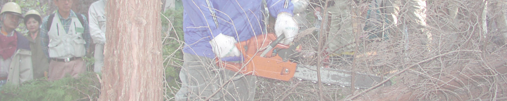 森とのふれあい体験プログラム：第3回