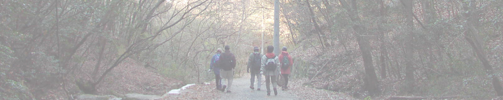 森とのふれあい体験プログラム：第4回（完結）