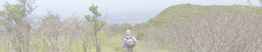 藤原岳～天狗岩