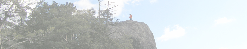 愛知県民の森Vol.5～獅子岩