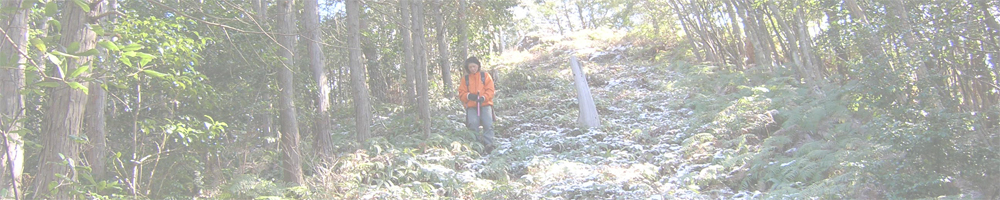 愛知県民の森Vol.6～上臈岩