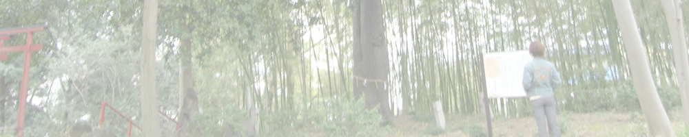 熊野神社のなぎの木