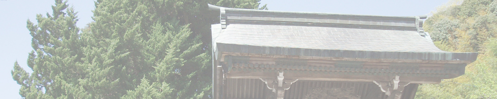 信光寺のイブキ