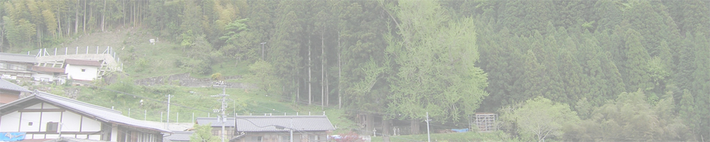 大野瀬神社のイチョウ