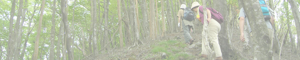 修験業山～栗ノ木岳