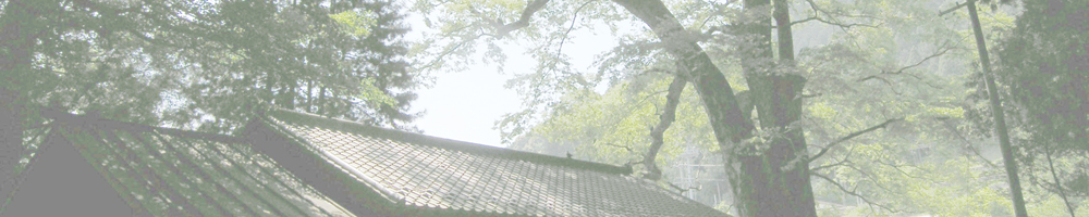 池野神社のケヤキ