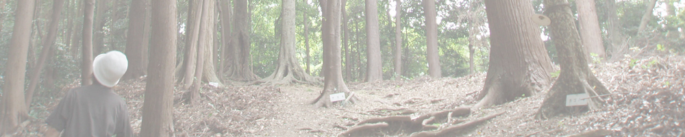 浅間神社かごの木
