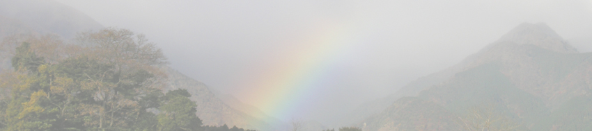 日本コバ-下見-