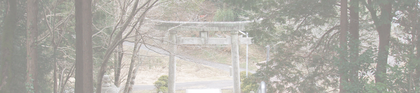 中垣内町の銀杏