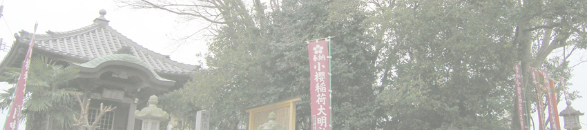 アイノ山のムクノキ