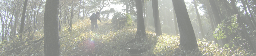 那須ガ原山～倉部岳～三国岳～忍者岳～加茂岳～油日岳