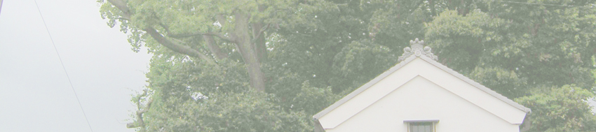 瓶井神社のケヤキ