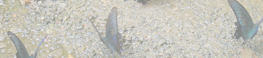 別所山～行市山