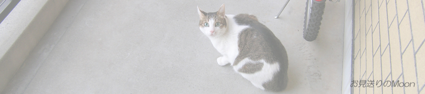 風頭山〜大日山