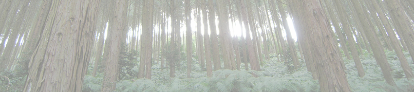 岩見山～八曽山