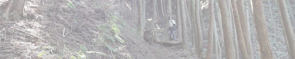 熊ガ岳～経ガ塚山～音羽山