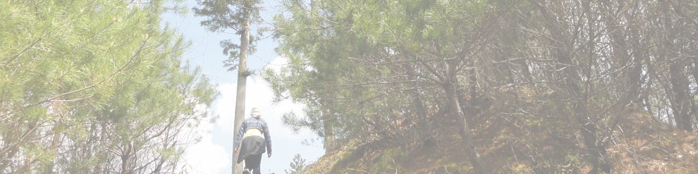 武節城址～ヨバリガネ