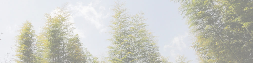 船来山～郡府山