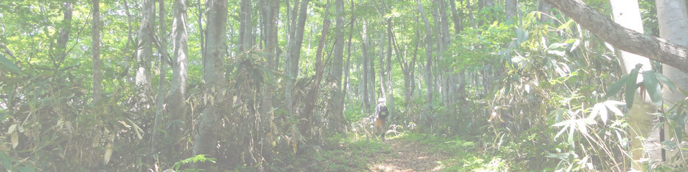 愛宕山～藤倉山～鍋倉山
