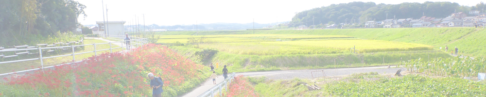 矢勝川の彼岸花