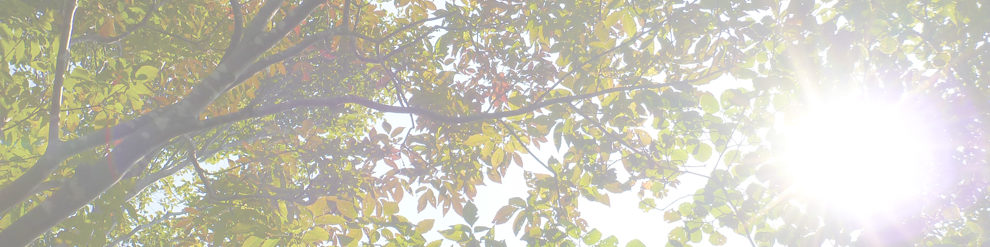 冠岳～浄法寺山～丈競山～ 北丈競山