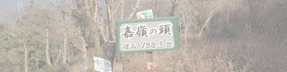 北笠岳～嘉嶺の頭～笹子山～稲子山