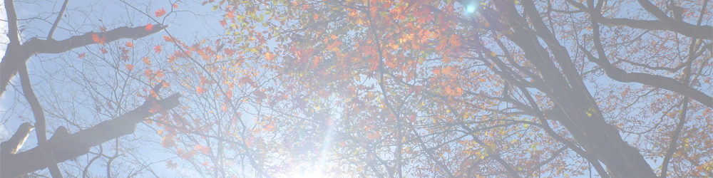 長者ヶ岳～天子ヶ岳