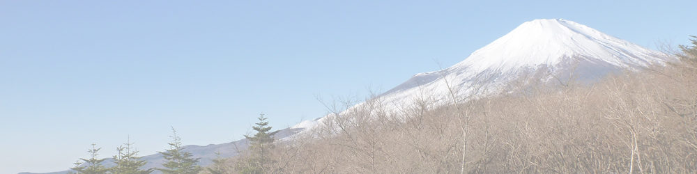 大洞山～楢木山