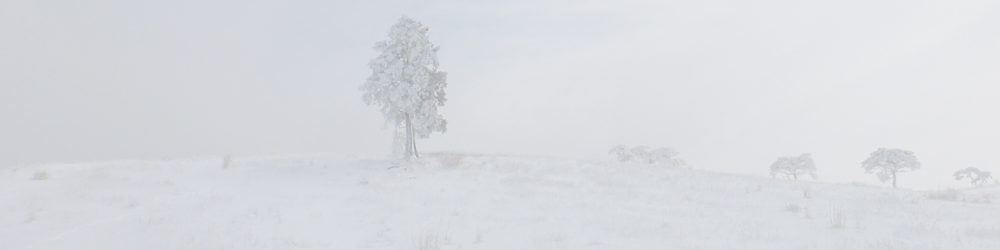 面ノ木園地と井山