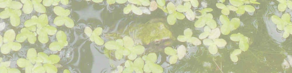 西尾いきものふれあいの里