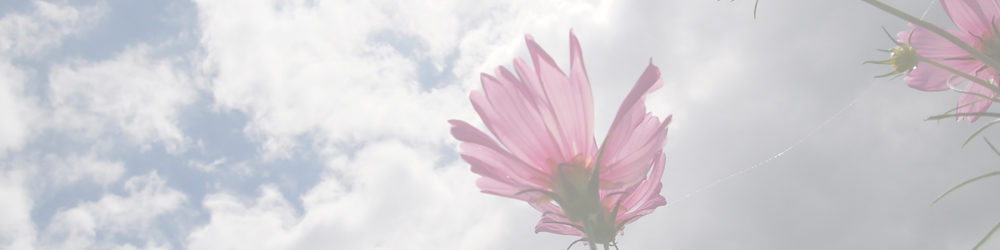 西尾いきものふれあいの里