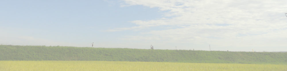 矢勝川の彼岸花