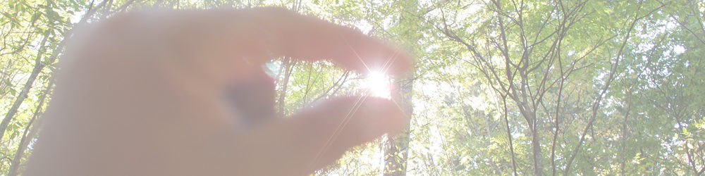 段戸湖原生林散歩（きららの森）