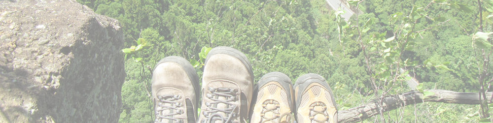 獅子ヶ鼻～元気山～若萌山～鐘掛山～岩村山