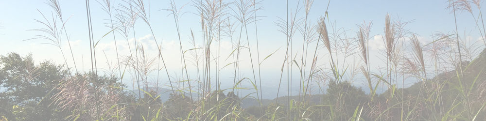 大滝山～高落場山～草沼山