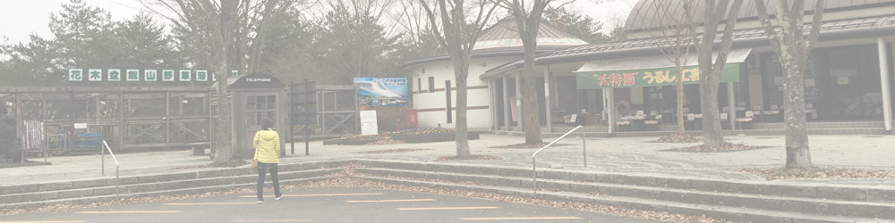 道の駅 なるさわ