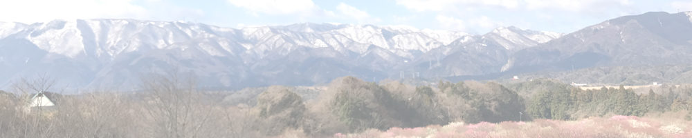 いなべ市梅林公園