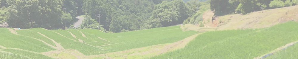 久留米木の棚田