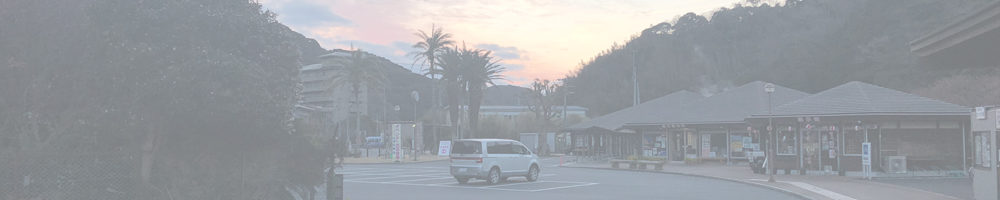 道の駅 下賀茂温泉 湯の花