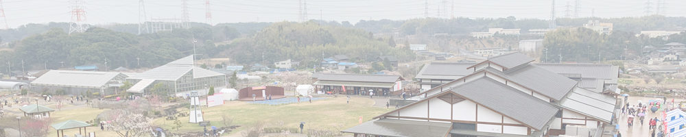 佐布里池梅まつり