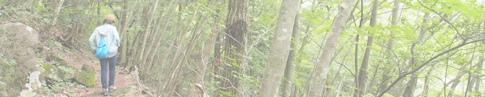 柿其渓谷-牛ヶ滝-