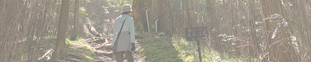 段戸湖原生林散策（きららの森）