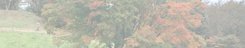 大峰高原七色大かえで