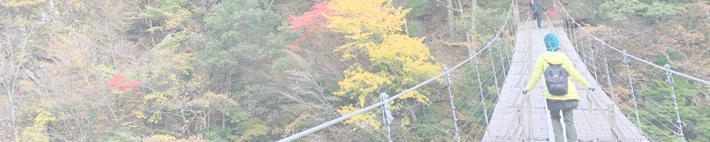 寸又峡夢の吊り橋