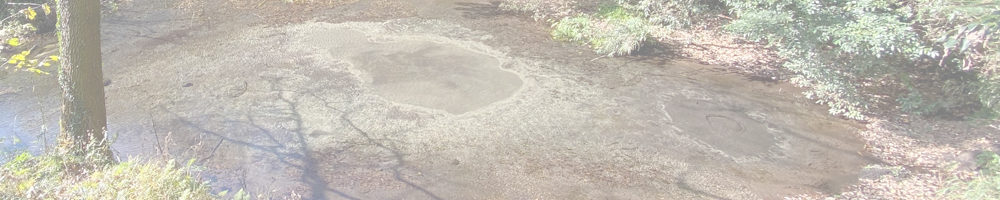 柿田川湧水の道