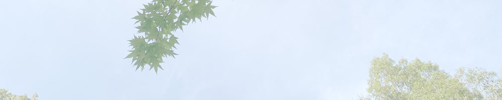 三木ヶ原・塩釜の冷泉